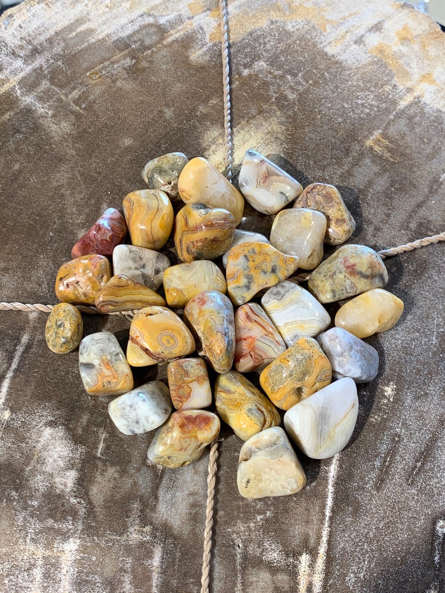 Tumbled Crazy Lace Agate - Zero Point Crystals