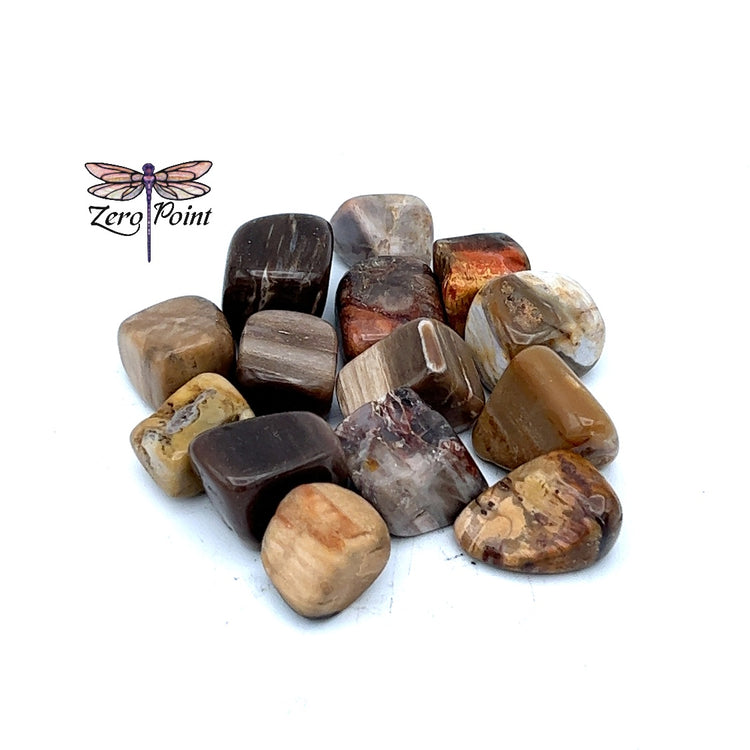 Petrified Wood Tumbled Stones - Zero Point Crystals