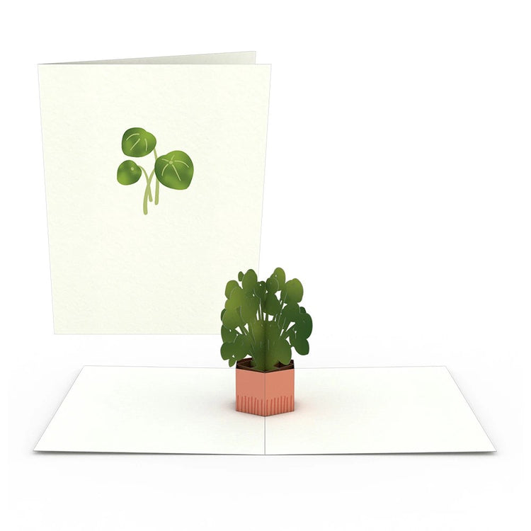 Plants Pop Up Note Cards - Zero Point Crystals