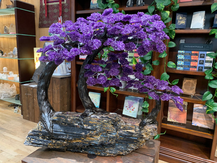 Amethyst Gem Tree on Blk Tourmaline base - Zero Point Crystals