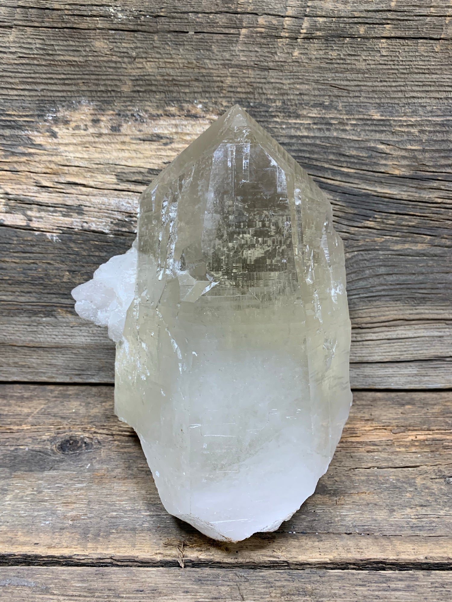 Citrine Lightbrary - Zero Point Crystals