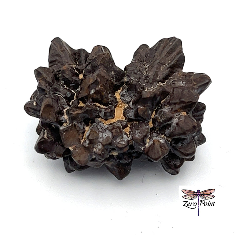 Prophecy Stone Multimorph - Zero Point Crystals