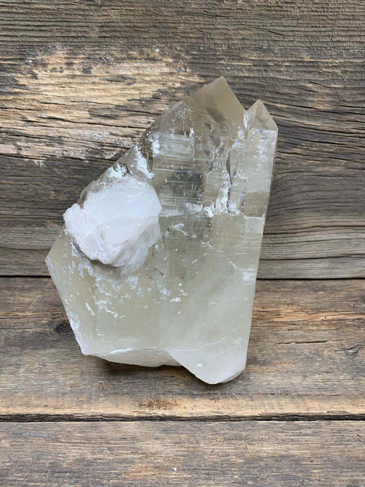 Citrine Lightbrary - Zero Point Crystals