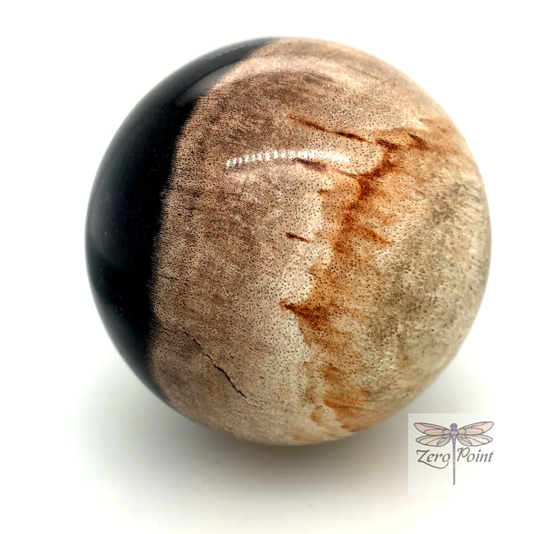 Petrified Wood Sphere - Zero Point Crystals