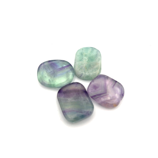 Fluorite Small Smooth Palm Stone