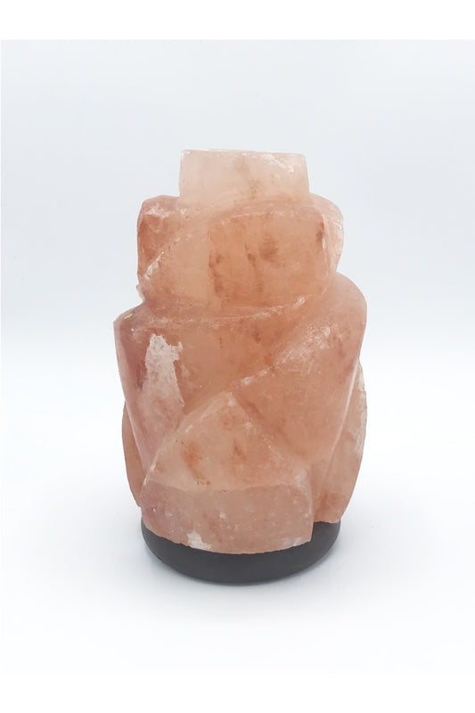 Himalayan Salt Lamp (Carved) - Zero Point Crystals