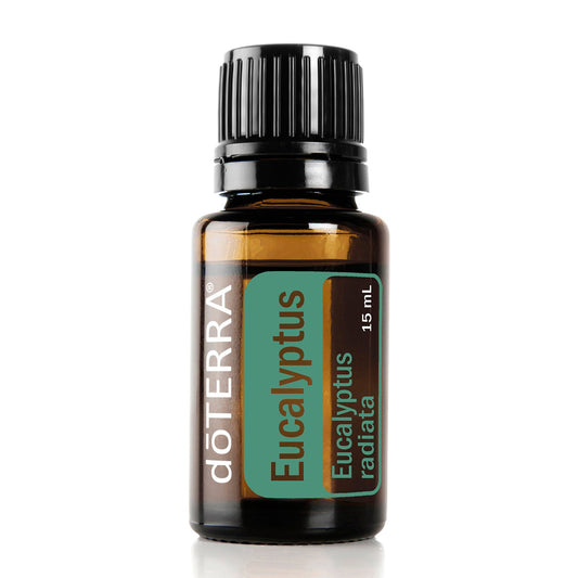 Eucalyptus Essentail Oil - Zero Point Crystals