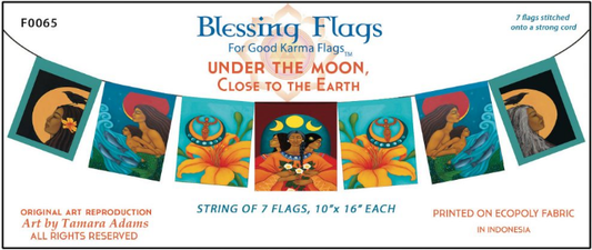 Under The Moon Flags - Zero Point Crystals