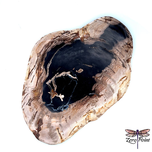Petrified Wood Plate - Zero Point Crystals