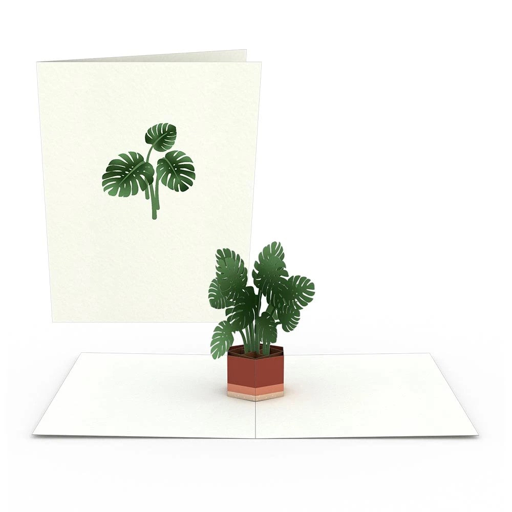 Plants Pop Up Note Cards - Zero Point Crystals