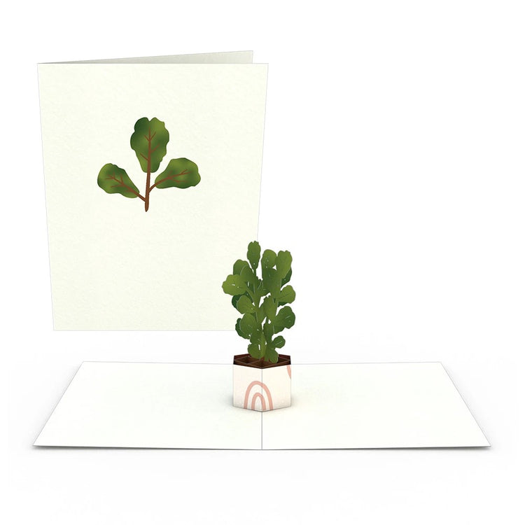 Plants Pop Up Note Cards - Zero Point Crystals