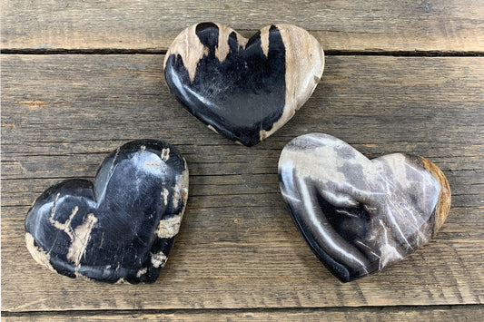 Petrified Wood Heart - Zero Point Crystals