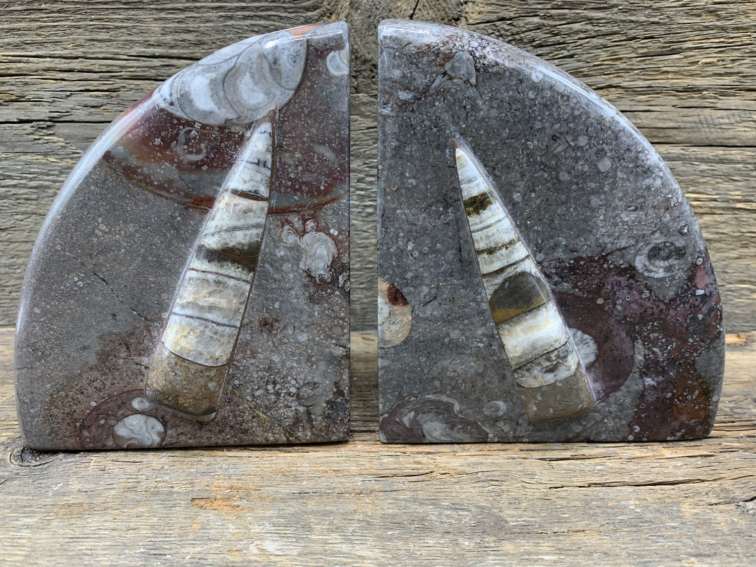 Fossil Bookend - Zero Point Crystals