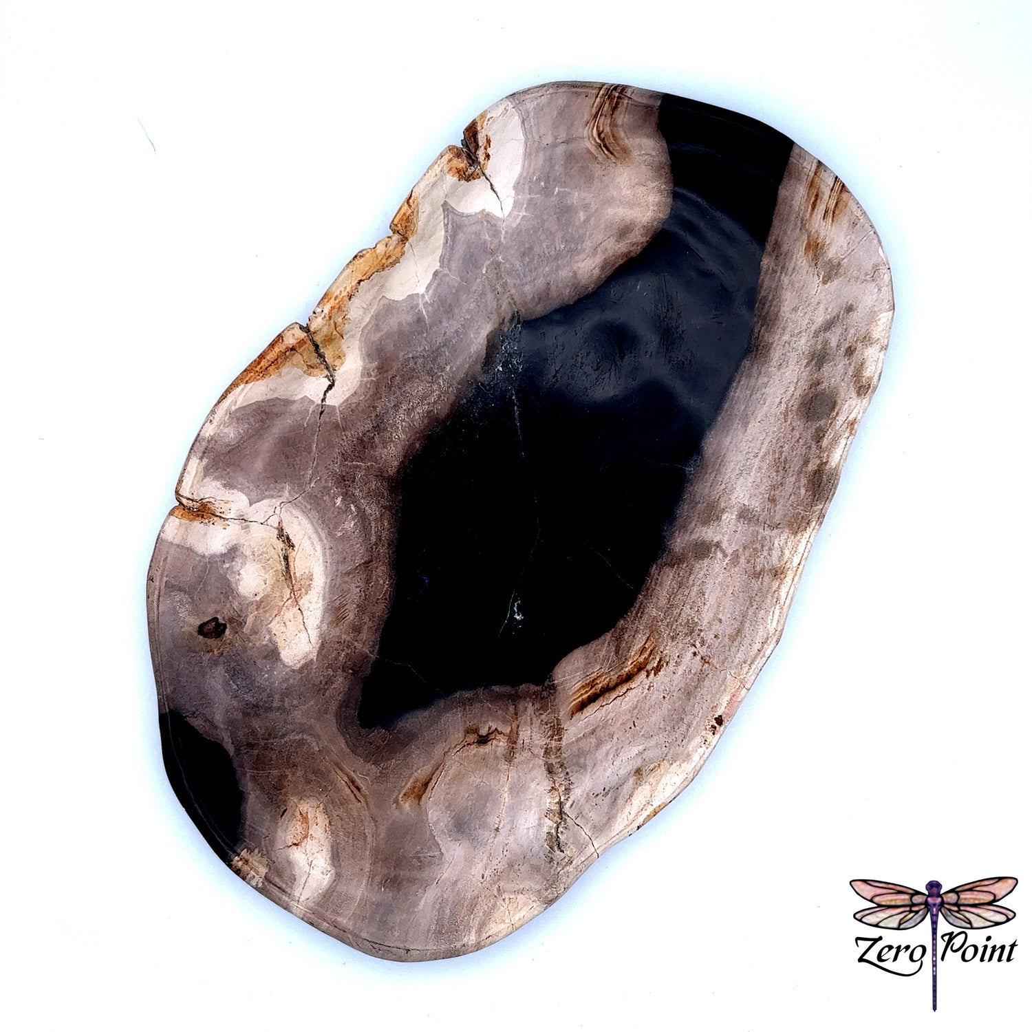 Petrified Wood Plate - Zero Point Crystals
