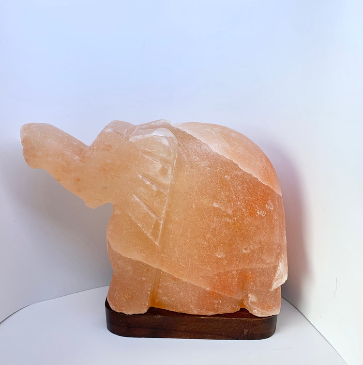 Himalayan Salt Lamp (Carved) - Zero Point Crystals